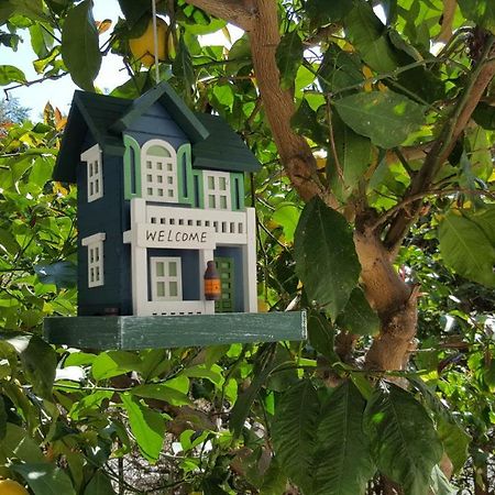 Casa Vacanze Darena Tortoreto Εξωτερικό φωτογραφία