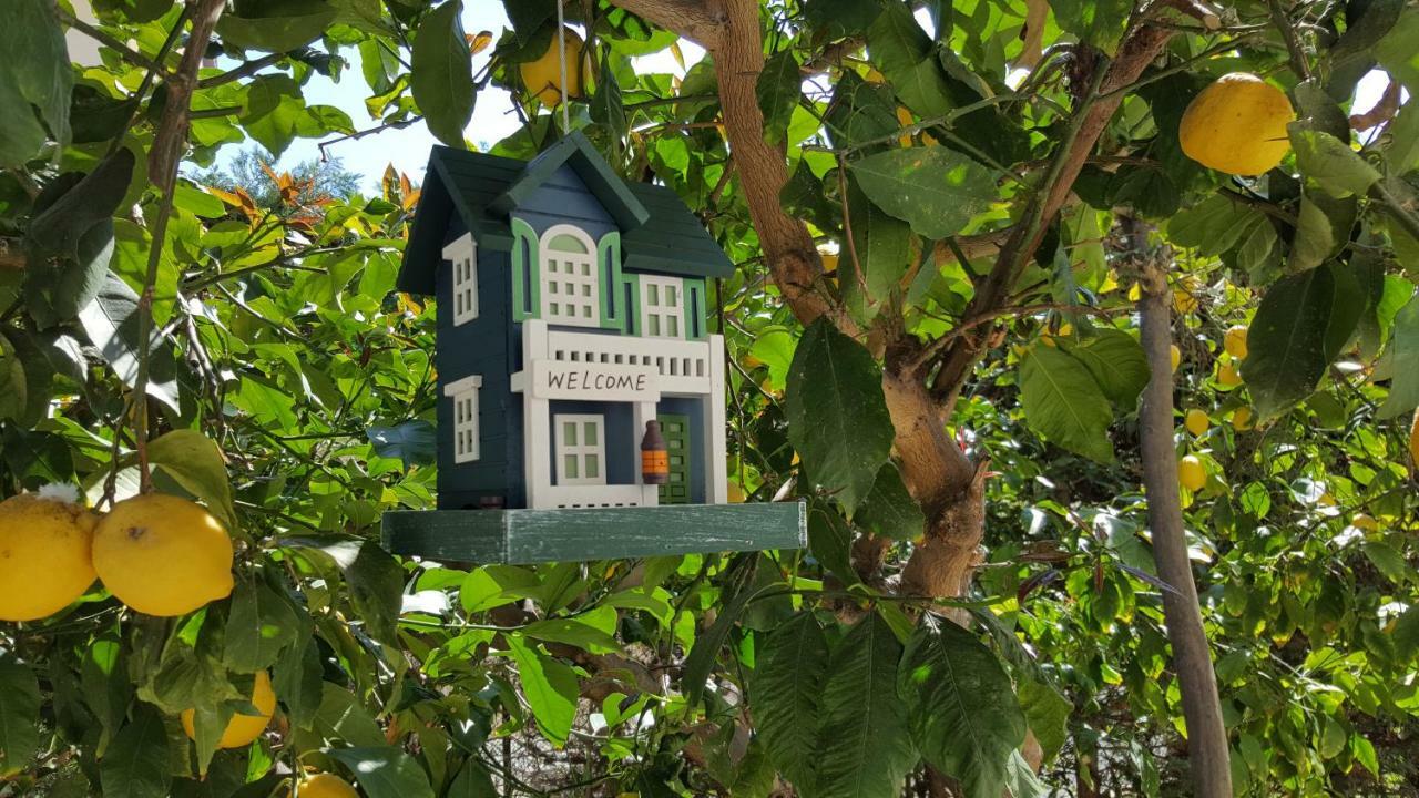 Casa Vacanze Darena Tortoreto Εξωτερικό φωτογραφία